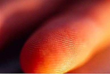 真“侠盗猎车手” 近3000台Switch2在运输途中被盗  