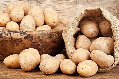 《地平线：零之曙光》5月21日离开会员游戏库 引发复刻版猜测